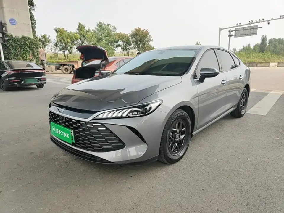 BYD Qin PLUS DM-i Smart Drive 55KM Leader 2025