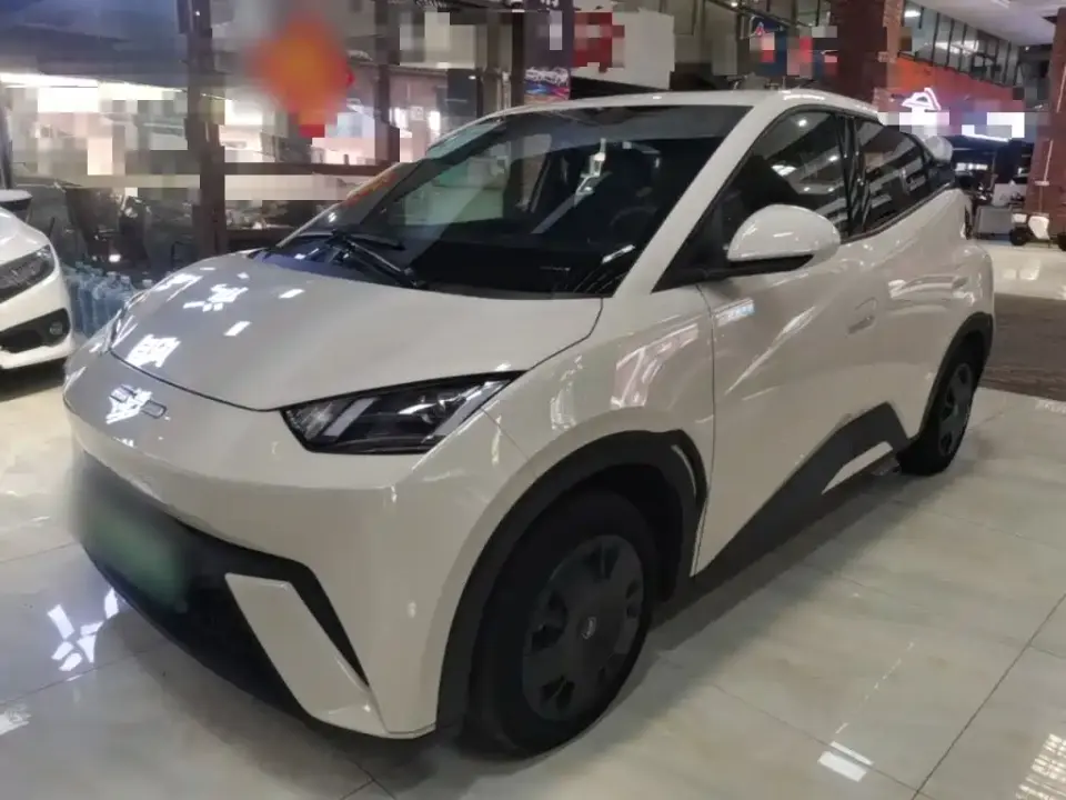 BYD Seagull Glory Edition 305km Vitality Edition 2024