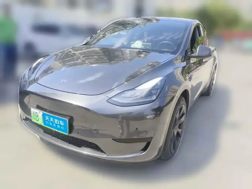 Tesla Model Y Rear-Wheel Drive Version 2022