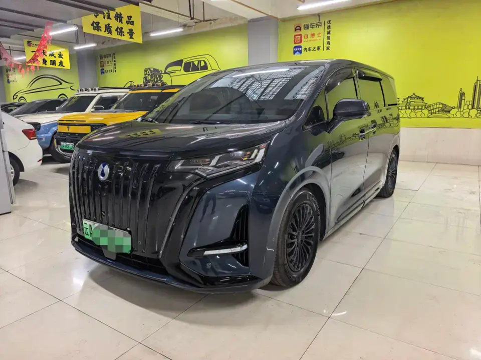 Denza D9 EV 600 AWD Flagship 2024