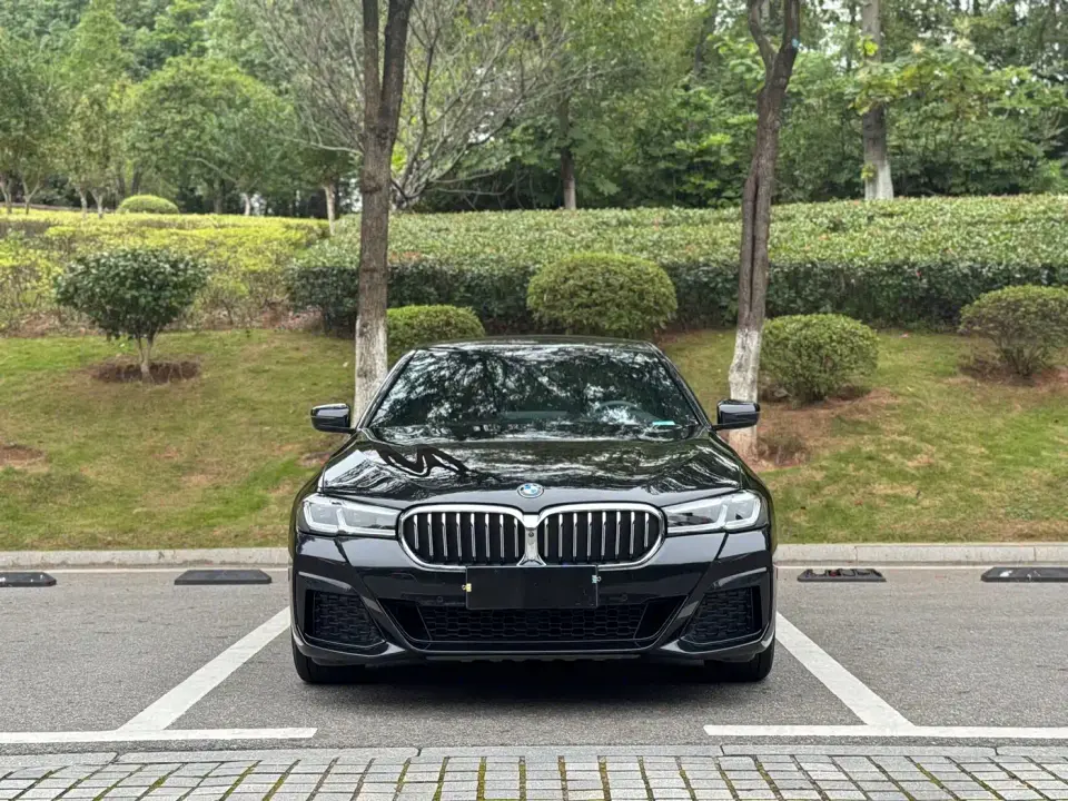 BMW 5 Series 530Li Premium M Sport Package 2020