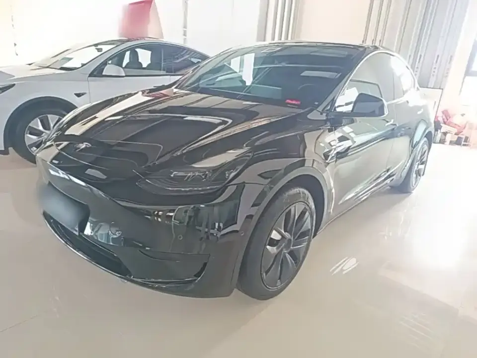 Tesla Model Y Rear-Wheel Drive Edition 2024