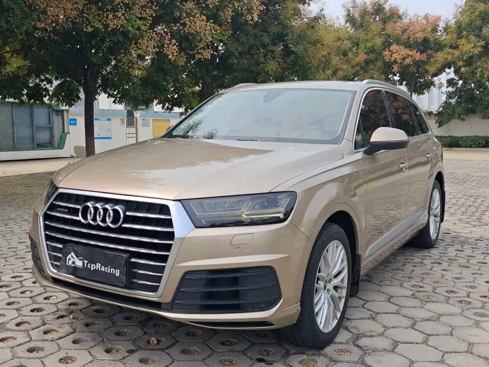 Audi Q7 45 TFSI Technology 2019