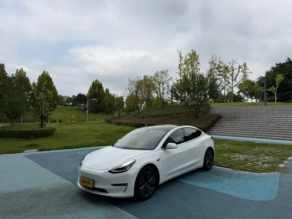 Tesla Model 3 (Import) Long Range All-Wheel Drive Edition 2019
