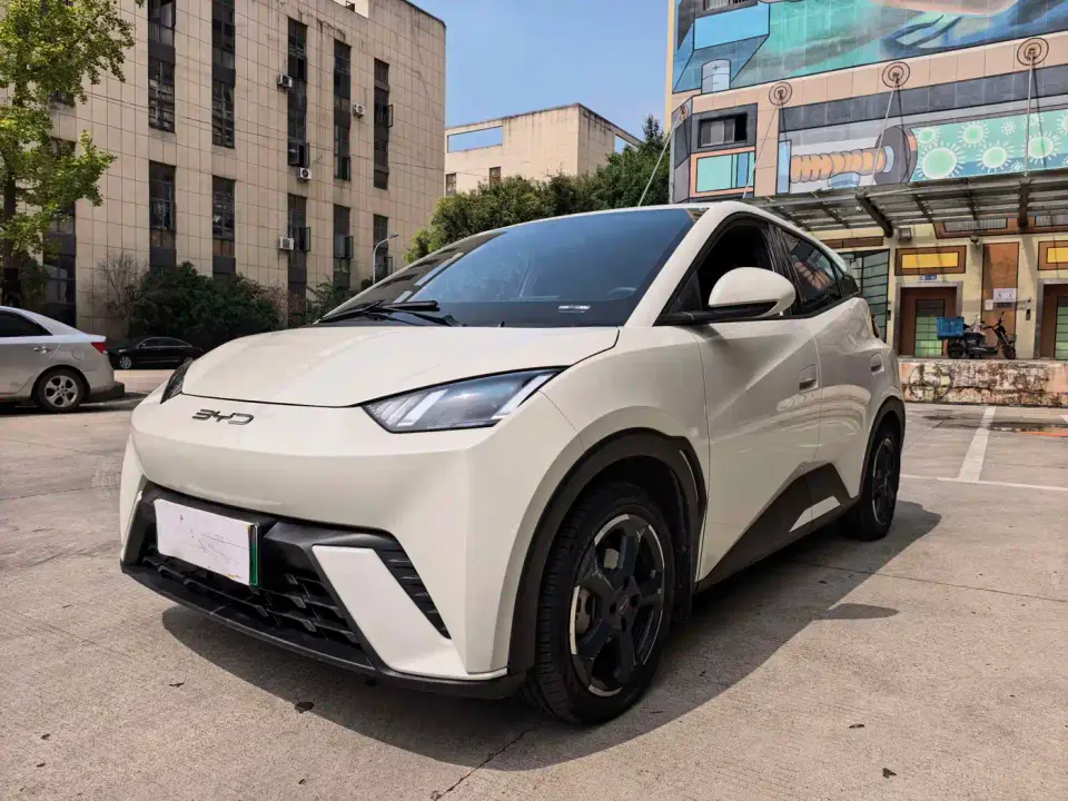 BYD Seagull Glory Edition 305km Freedom Edition 2024