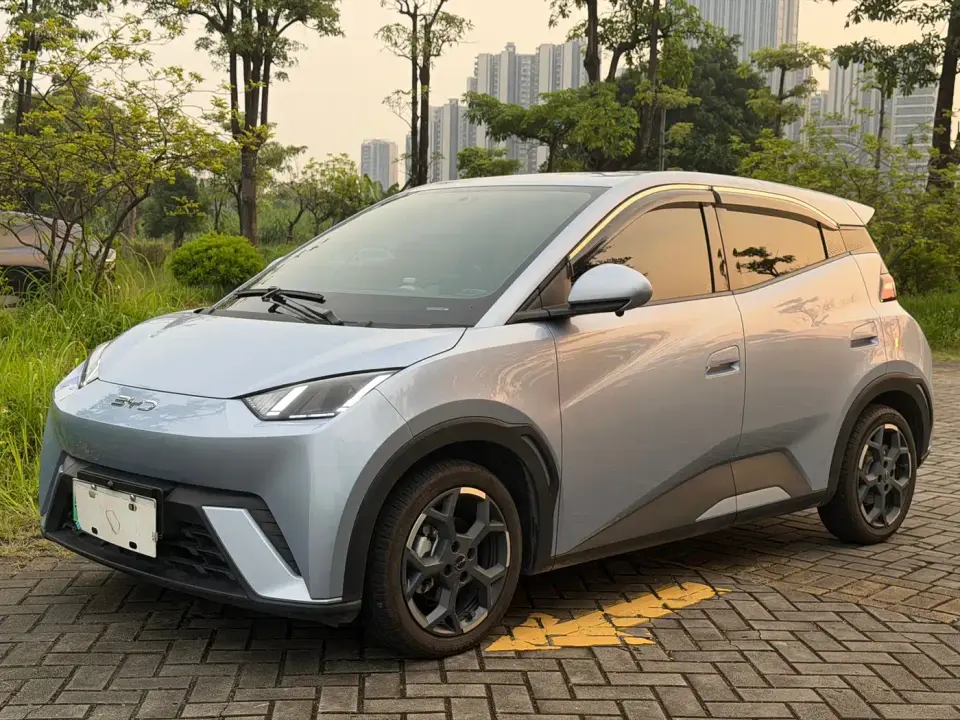 BYD Seagull 305km Freedom 2025
