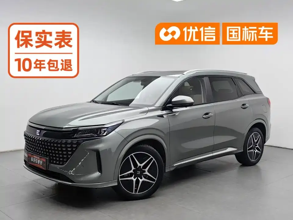 Landian E5 1.5L DE-i 110KM Flagship 5-seater 2023