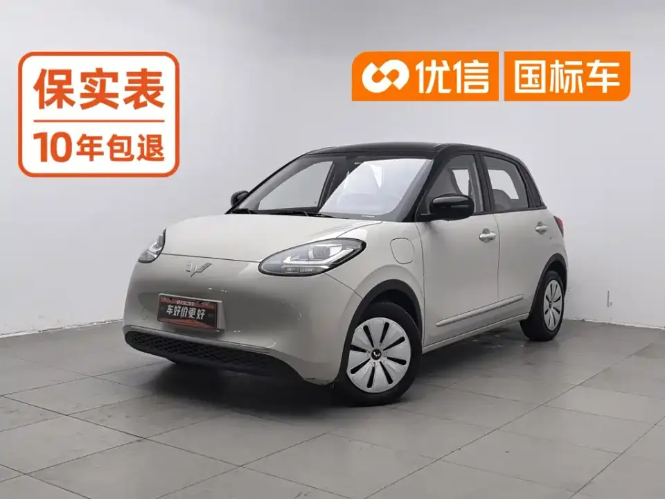Wuling Motors Wuling Bingo 333km Quick Enjoy Version 2023
