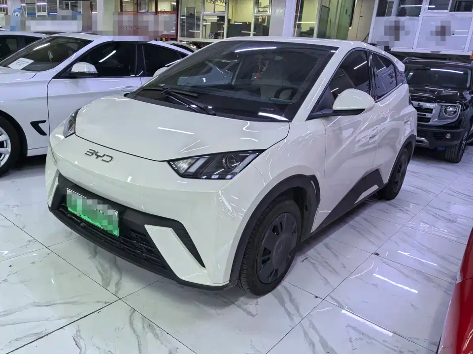 BYD Seagull 305km Vitality 2025