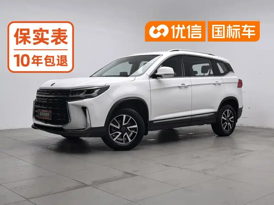 Dongfeng Fengxing Fengxing T5 Golden Age 1.6L Manual Dream Builder 5-Seater 2024