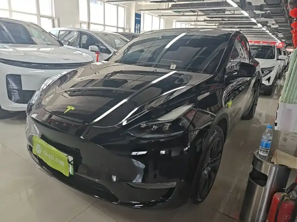 Tesla Model Y Long Range All-Wheel Drive Edition 2024