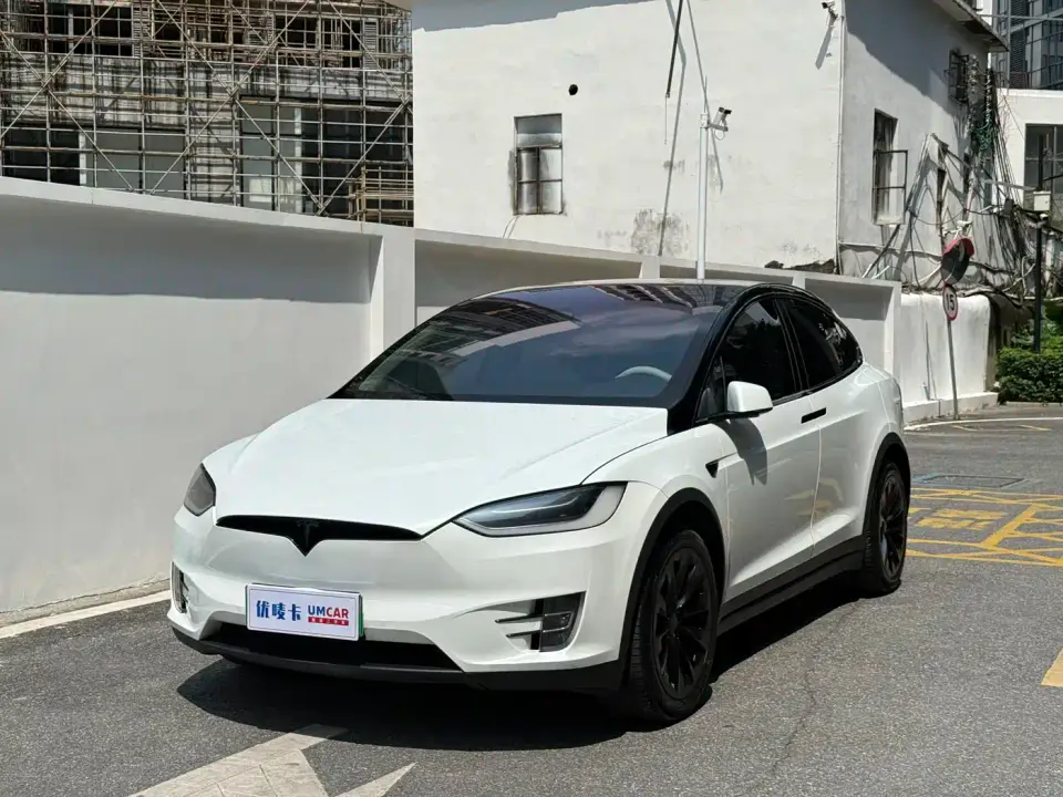 Tesla Model X Model X 100D Long Range 2019