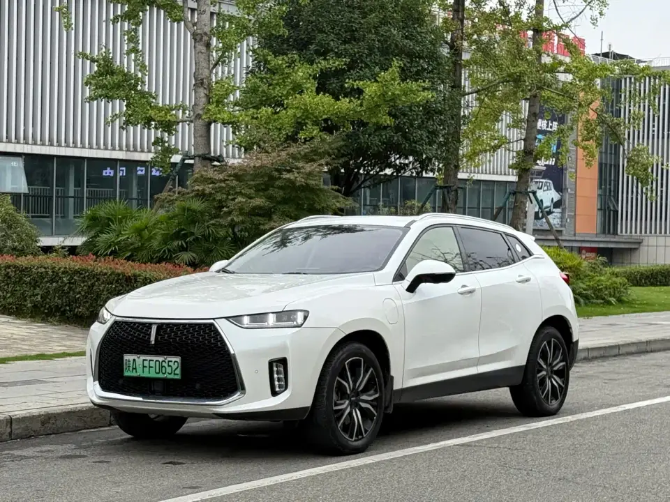 Wey P8 2.0T Exclusive 2019