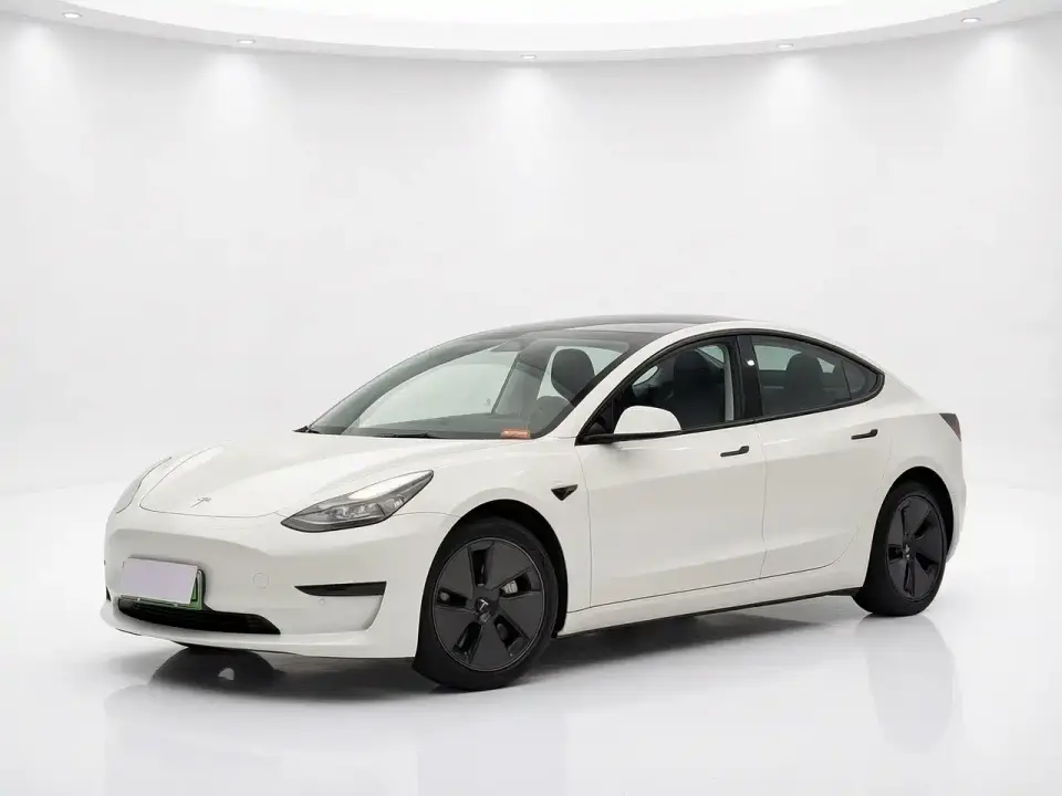 Tesla Model 3 Standard Range Rear-Wheel Drive Upgrade 3D6 2021