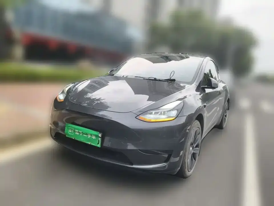 Tesla Model Y Rear-Wheel Drive Version 2024