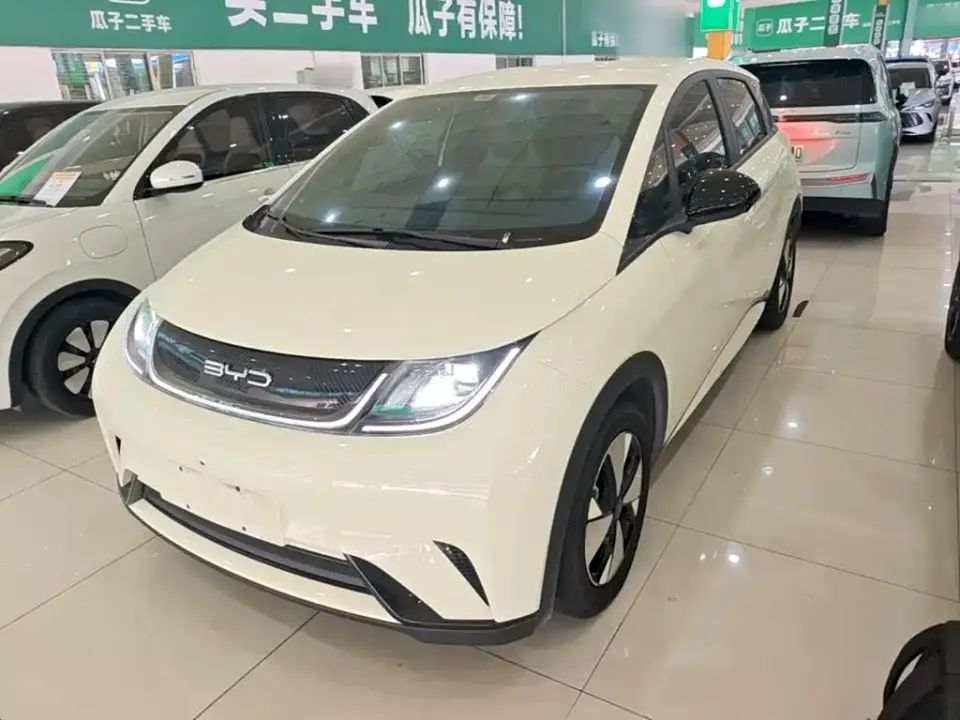 BYD Dolphin 420km Freedom Edition 2023