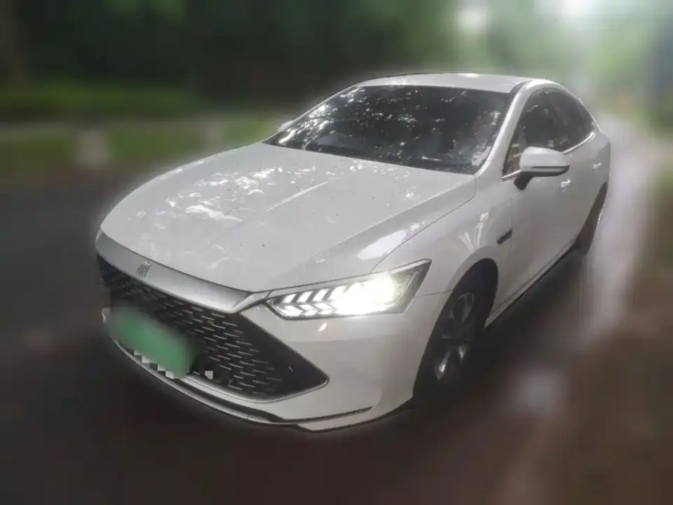 BYD Qin PLUS Champion Edition DM-i 55KM Leading 2023
