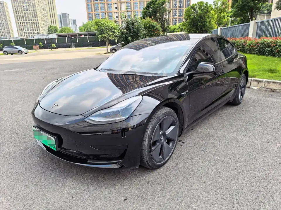 Tesla Model 3 Model Rear-Wheel Drive Version 2022