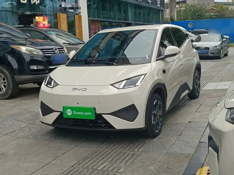 BYD Seagull Smart Drive Edition 305km Freedom Version 2025