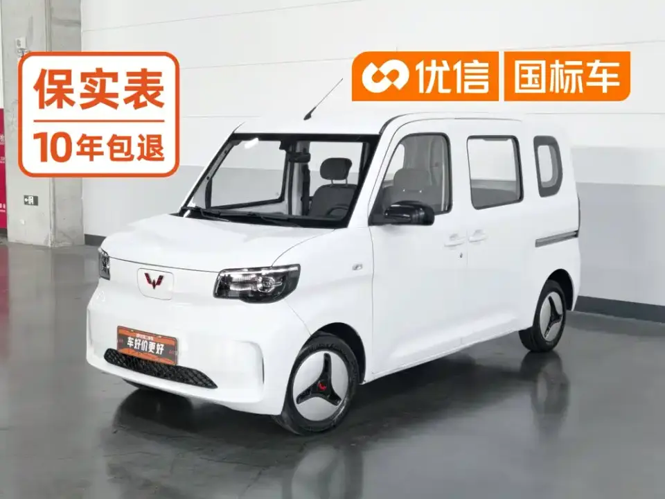 Wuling Motors Wuling Zhiguang NEV Standard Version 2025