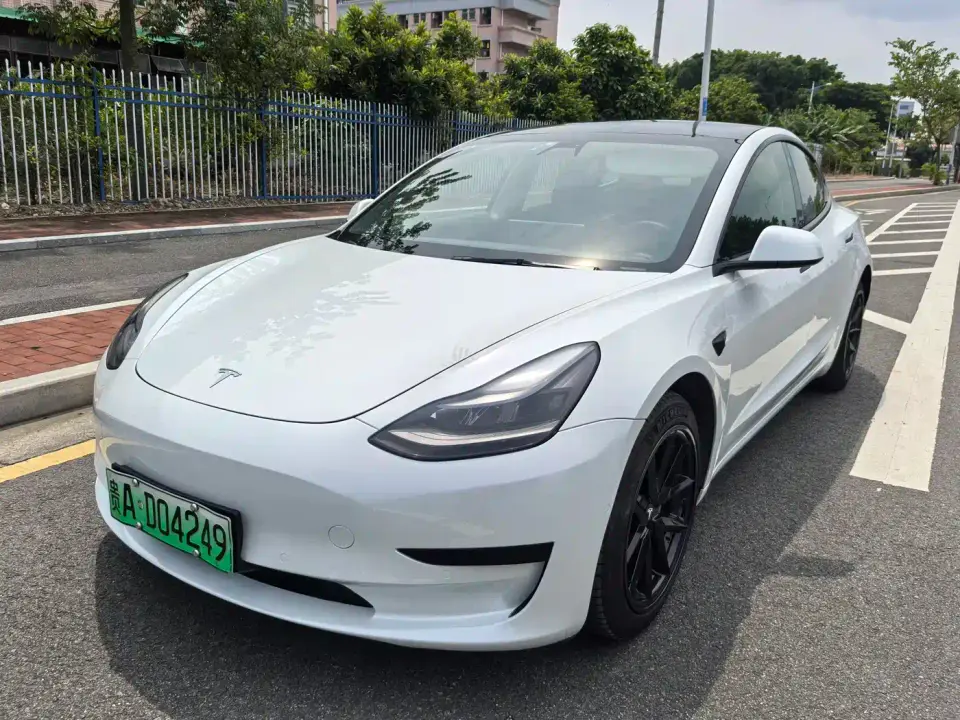 Tesla Model 3 Facelift Standard Range RWD Upgrade 3D1 2021