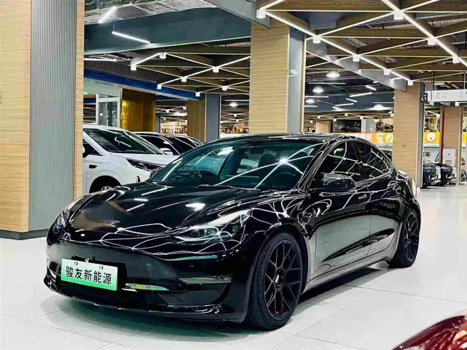 Tesla Model 3 Model Rear-Wheel Drive Version 2022