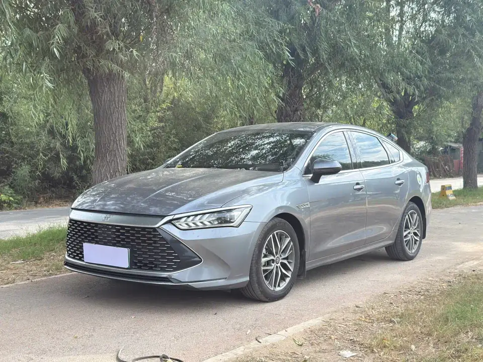 BYD Qin PLUS DM-i 55KM Flagship 2021