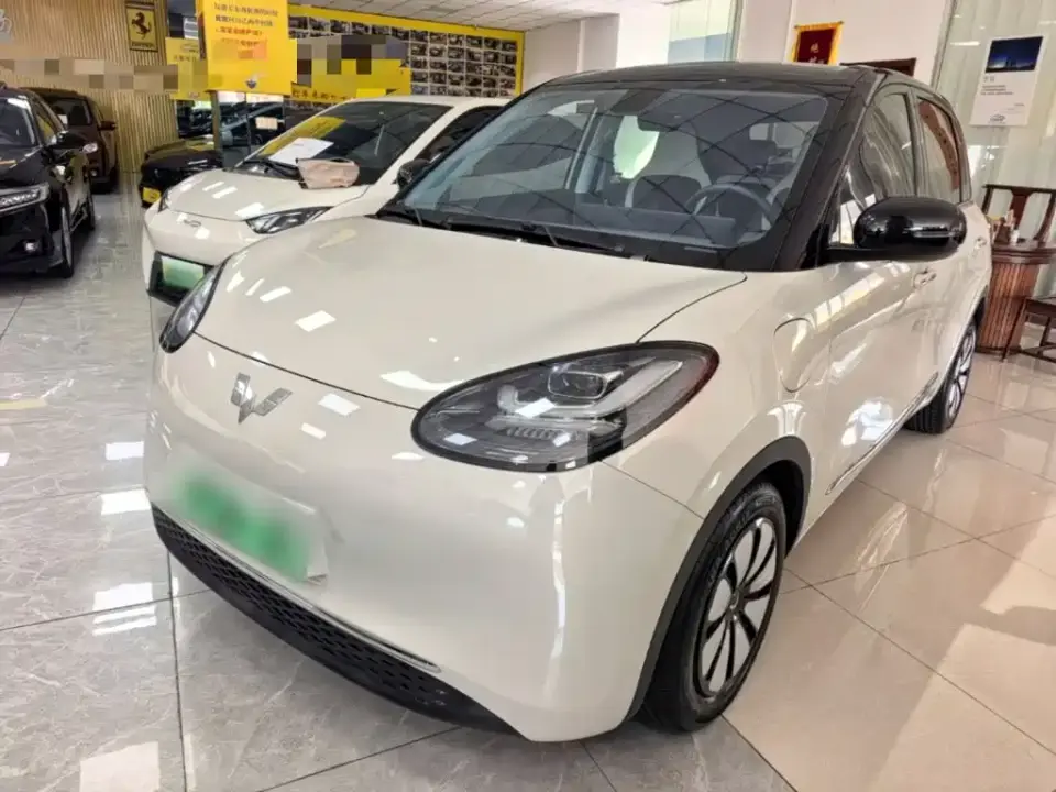 Wuling Motors Wuling Bingo 410km Lingxi Premium Edition 2023
