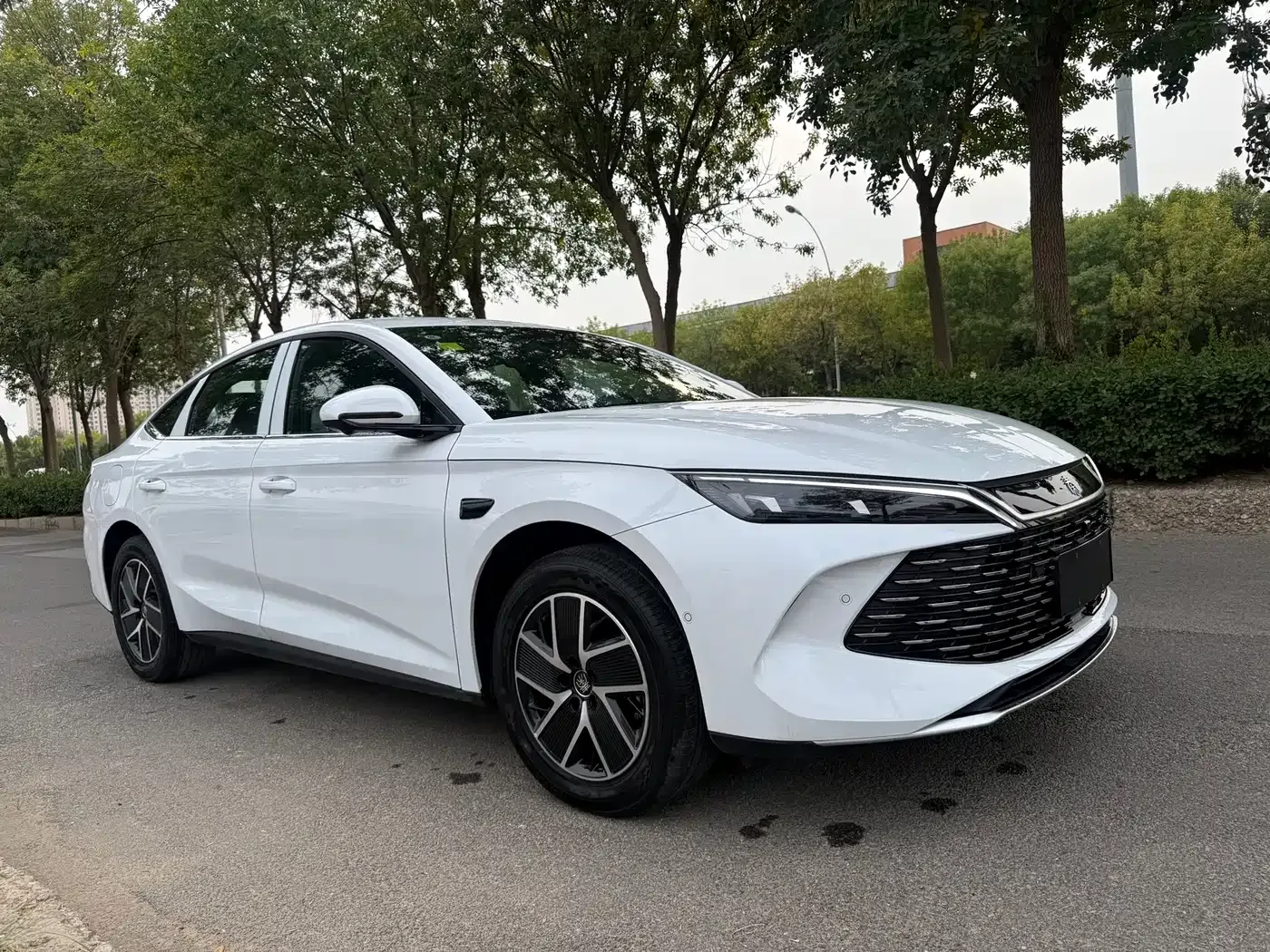 BYD Qin L Model DM-i Smart Drive Edition 128KM Pioneer 2026 — фото 3