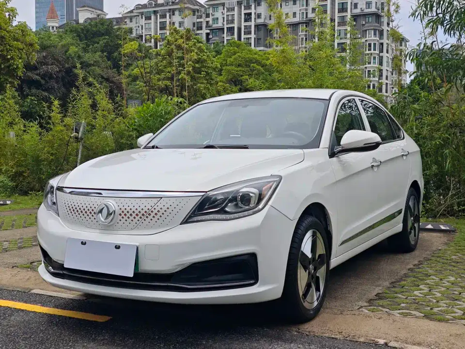 Dongfeng Aeolus Dongfeng Fengshen E70 500 Premium Edition 2021