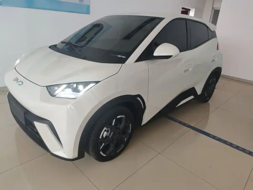 BYD Seagull 305km Freedom 2024