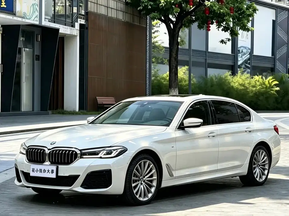 BMW 5 Series 530Li Exclusive Luxury Package 2022