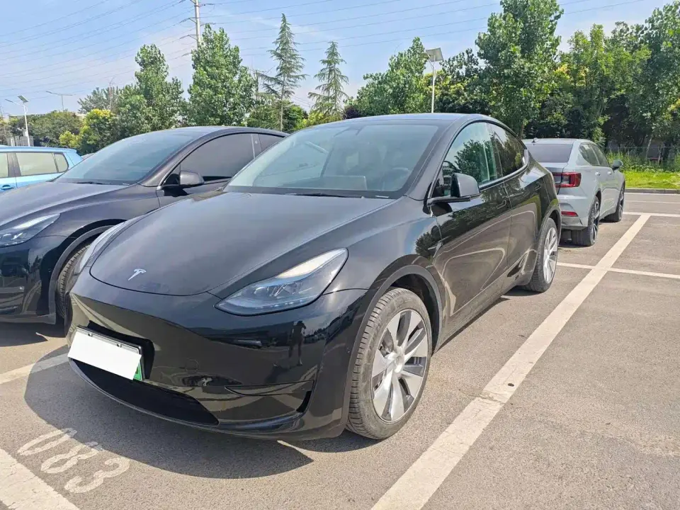 Tesla Model Y Standard Range Rear-Wheel Drive 2021