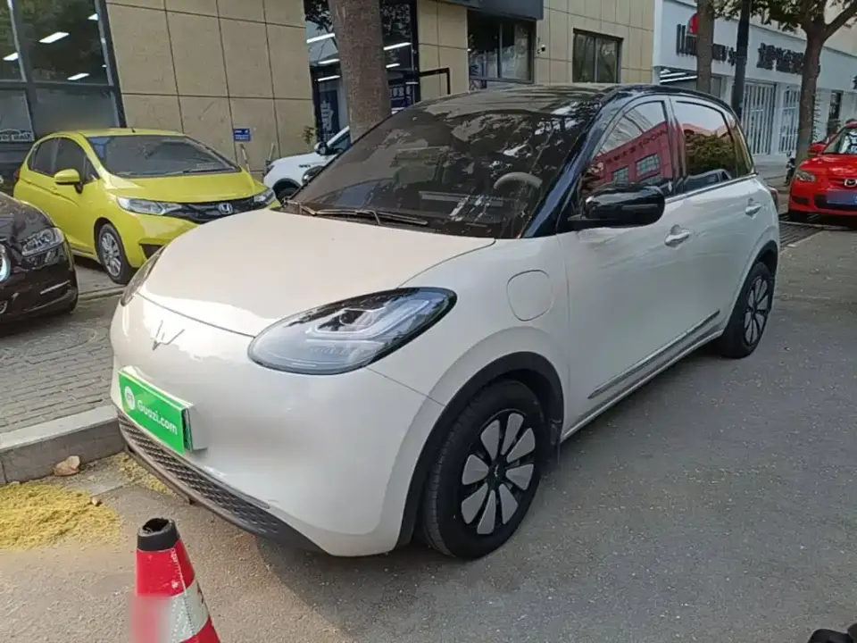 Wuling Motors Wuling Bingo 333km Comfort Edition 2024