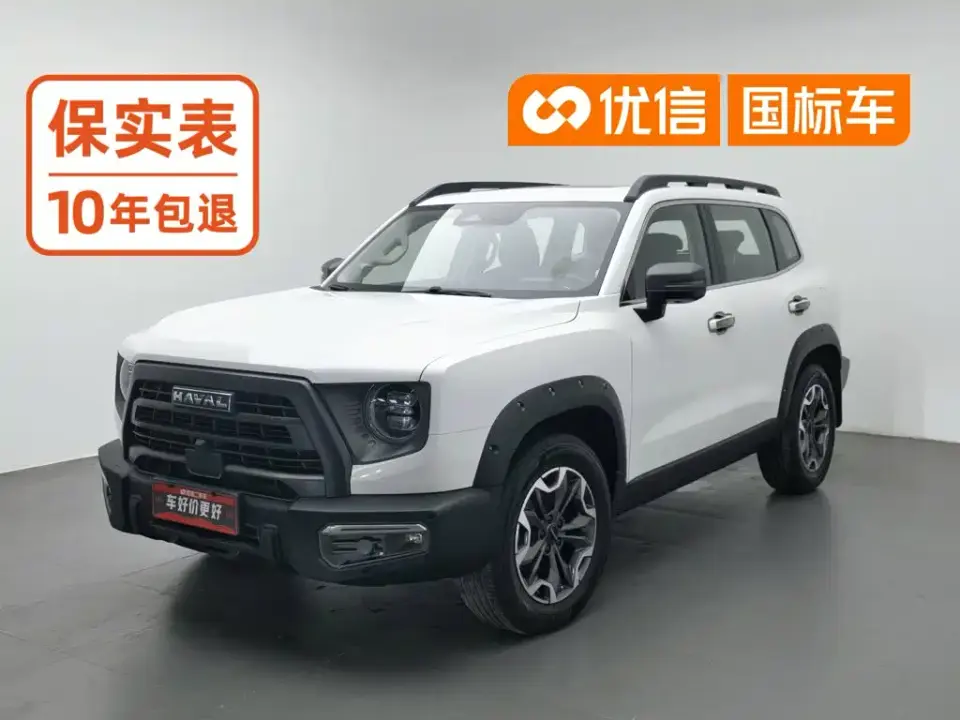 Haval Big Dog 2.0T DCT Chinese Rural Dog Edition 2024
