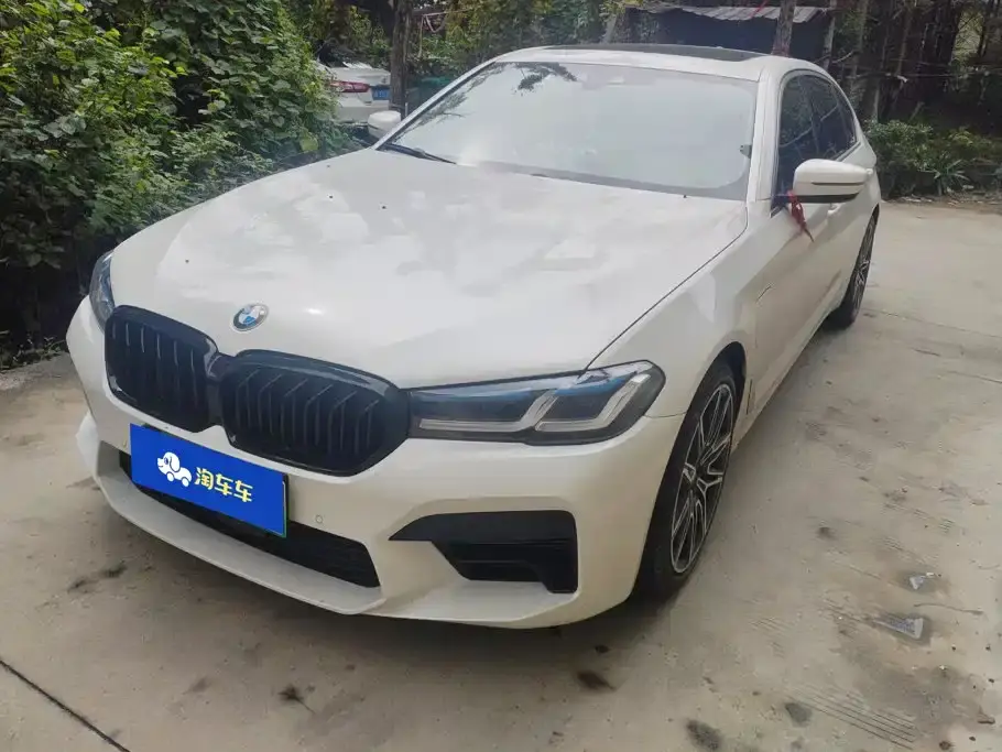 BMW 5 Series New Energy 530Le Range Upgrade Luxury Package 2020