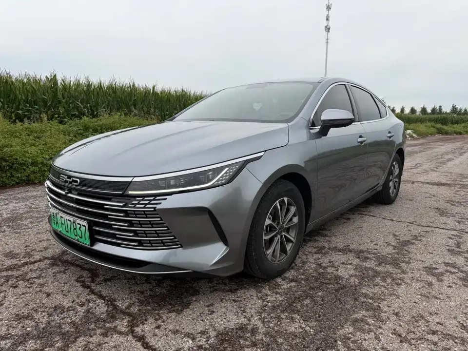BYD Destroyer 05 Glory Edition DM-i 55KM Luxury 2024