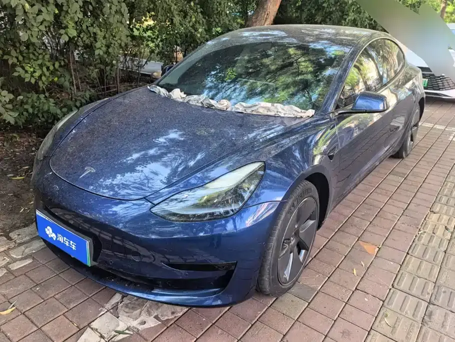 Tesla Model 3 Standard Range Rear-Wheel Drive Upgrade 2021