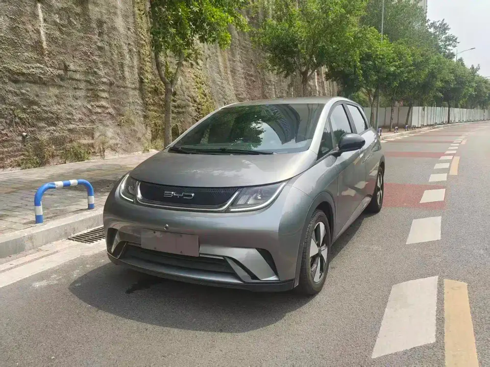 BYD Dolphin 420km Freedom Edition 2024