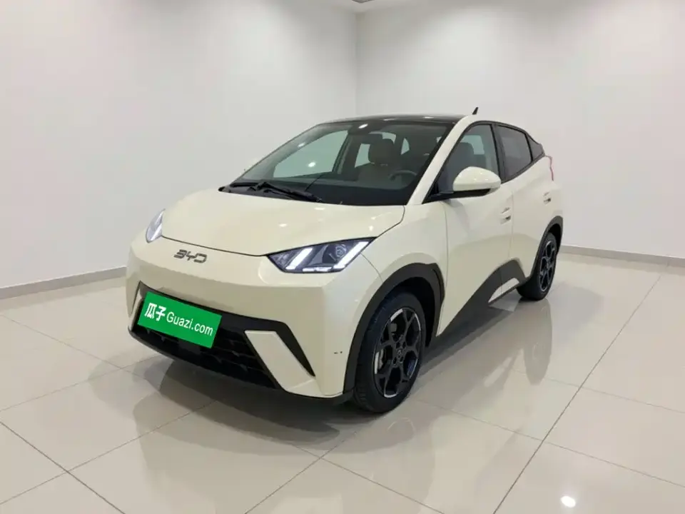 BYD Seagull 305km Freedom 2024
