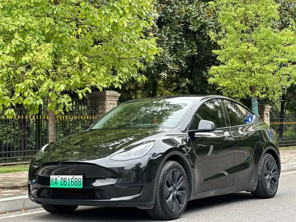 Tesla Model Y Rear-Wheel Drive Version 2024