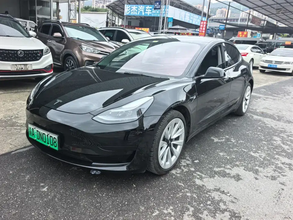 Tesla Model 3 Standard Range Rear-Wheel Drive Upgrade 3D6 2021
