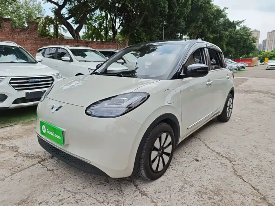 Wuling Motors Wuling Bingo 333km Smart Connectivity Edition 2023