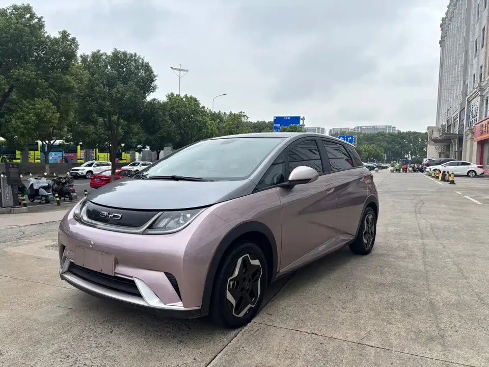 BYD Dolphin Model 405km Fashion Edition 2022