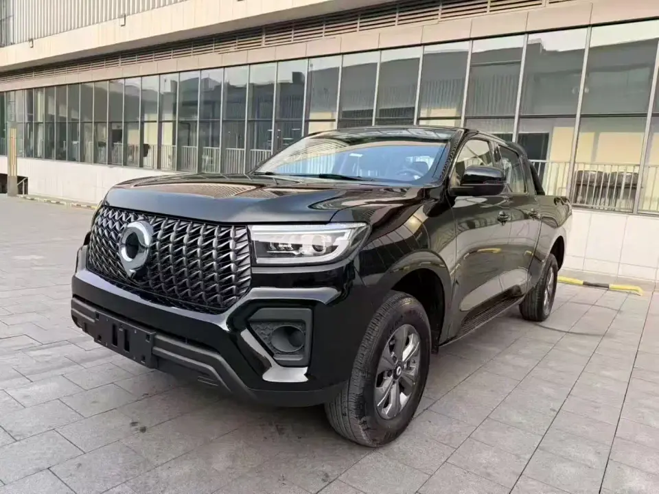 Great Wall Pao Model 2.4T Commercial Version Automatic Diesel 4WD Elite Type 2024