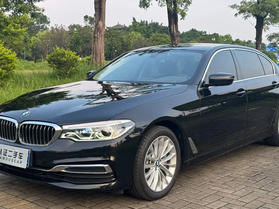 BMW 5 Series 530Li Premium Luxury Package 2020