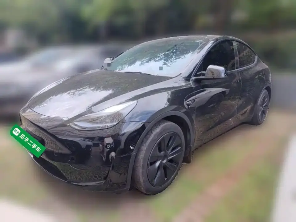 Tesla Model Y Rear-Wheel Drive Edition 2023