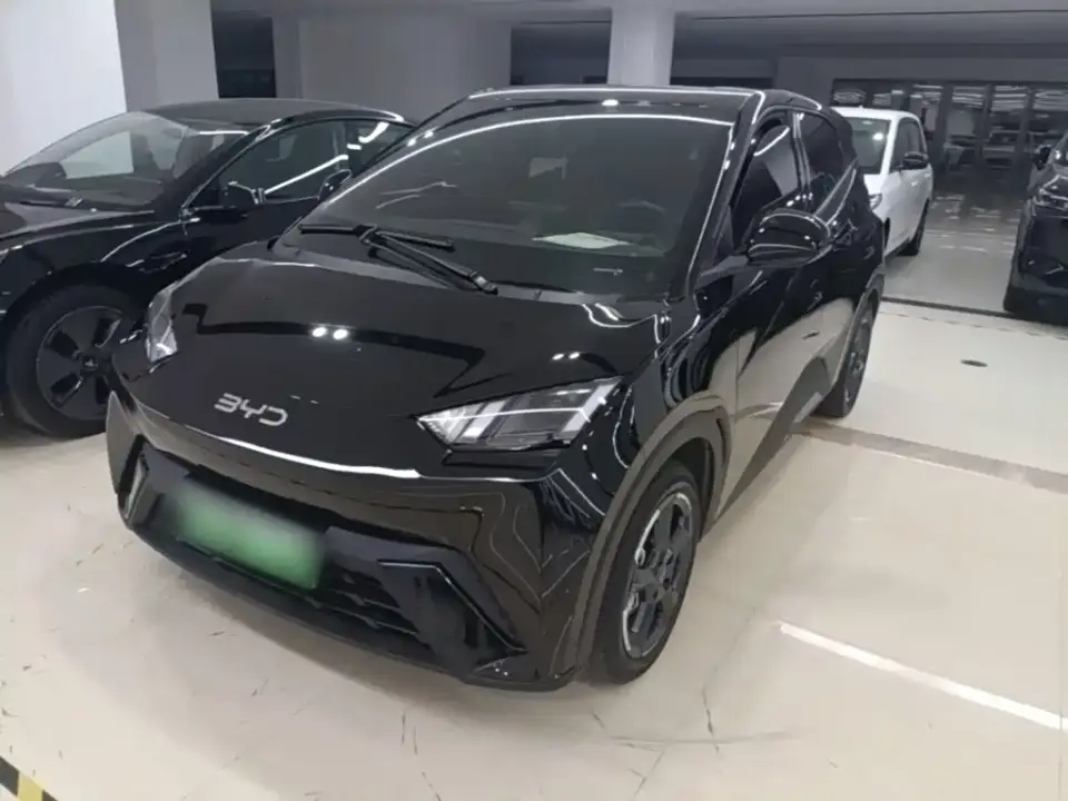 BYD Seagull Glory Edition 305km Freedom Edition 2024