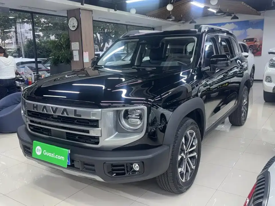 Haval Big Dog 1.5T DCT Border Collie Edition 2025