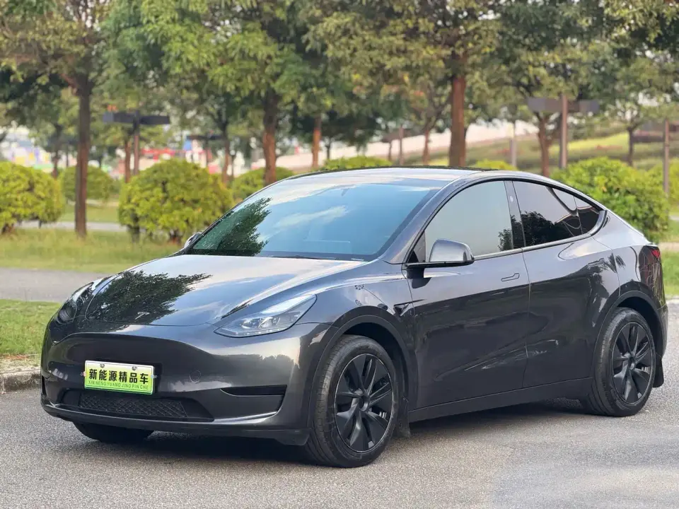 Tesla Model Y Rear-Wheel Drive Version 2024